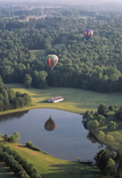 Hot air balloons flying over Atlanta suburbs